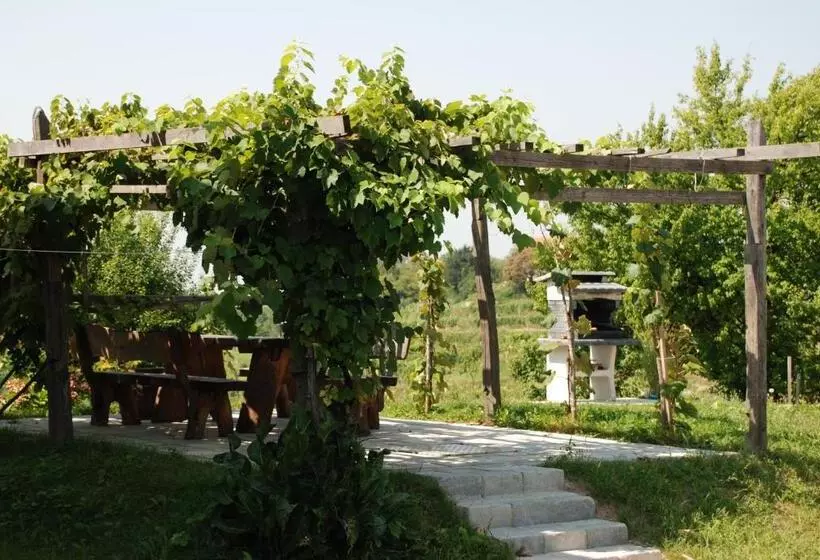 Hisa Vina