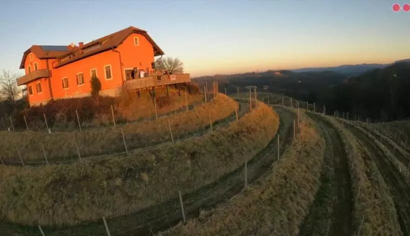 Hisa Vina