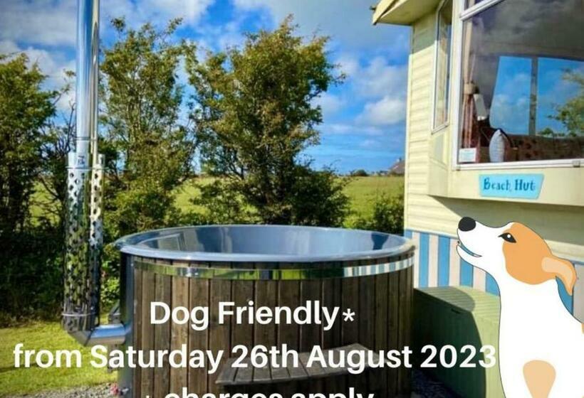 Adult Only En Suite Glamping Hut With A Private Hot Tub, Fenced Garden, Firepit, Bbq And Dog Friendl