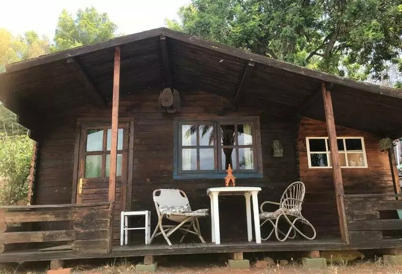 Casa India