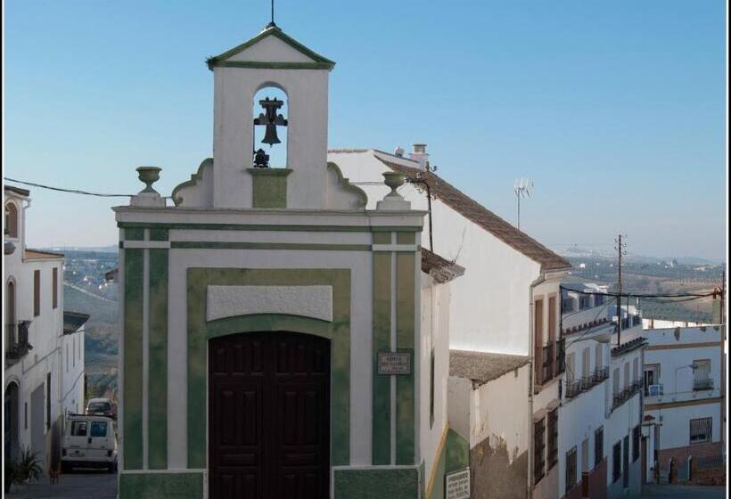 Loft Duplex Centro City