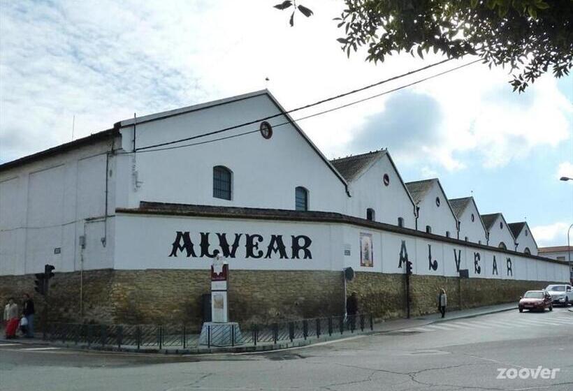 Loft Duplex Centro City