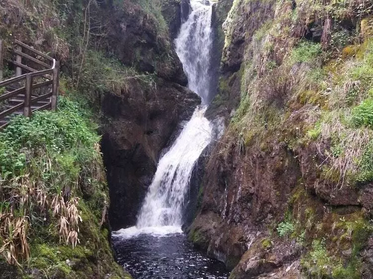 Bed and Breakfast Cullentra House