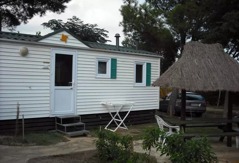 Camping El Templo del Sol 