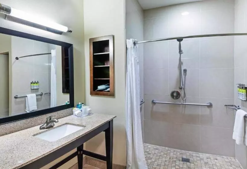 호텔 Holiday Inn Express & Suites Floresville By Ihg