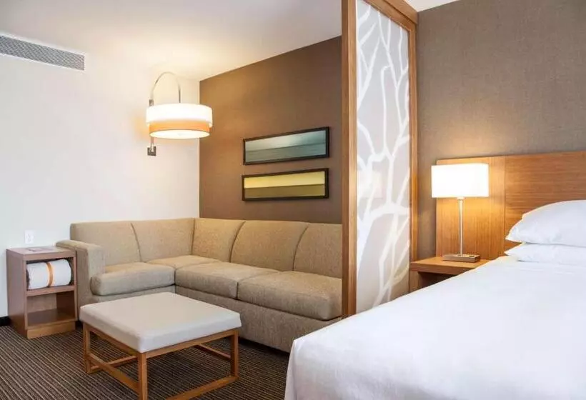 ホテル Courtyard By Marriott La Paz Baja California Sur
