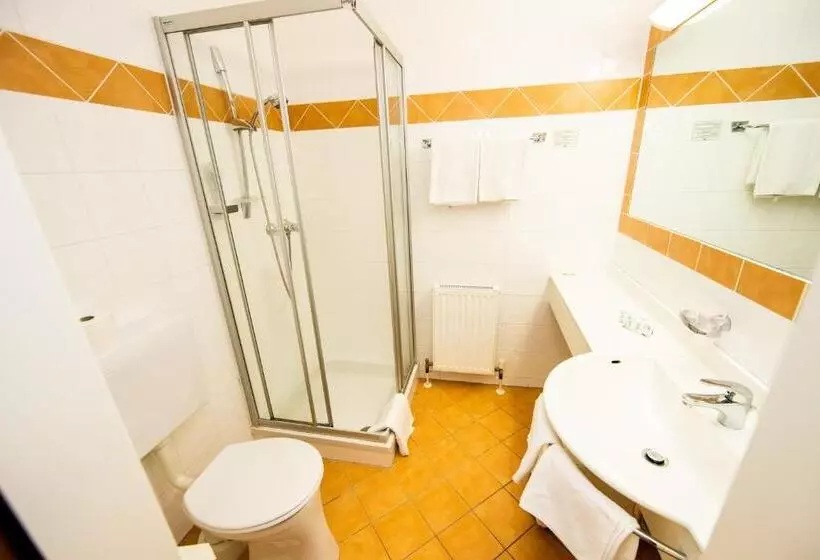 Hotelli Landgasthof Zur Goldenen Traube