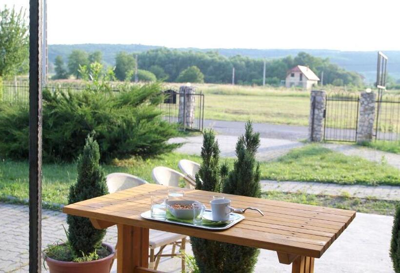 Bed and Breakfast Hévíz Springs   Kehidakustány
