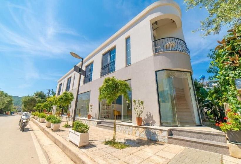 בית מלון כפרי Nebo