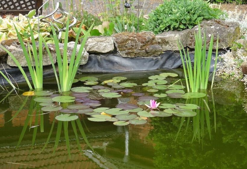 בית מלון כפרי Pension Und Gastehaus Paffrath