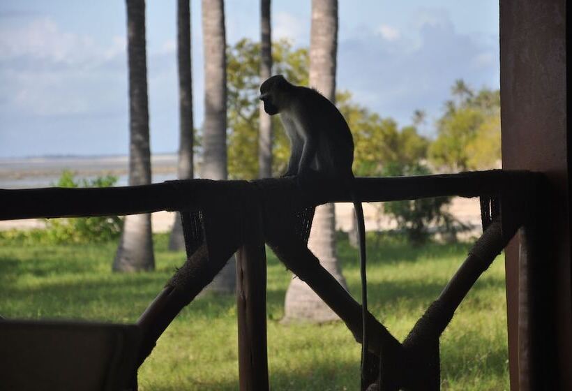 בית מלון כפרי Saadani Park