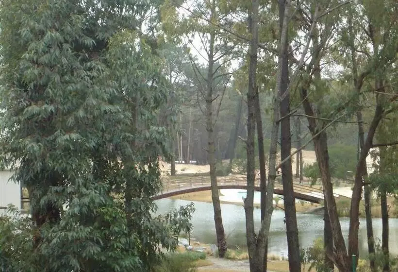 Green Park Punta 2