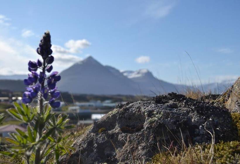 هتل Framtid Hostel