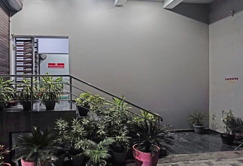 Hotelli Treebo Lazystay Grand Patia