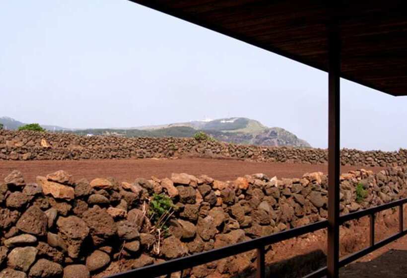 Jeju Poyoyo Pension And Guest House