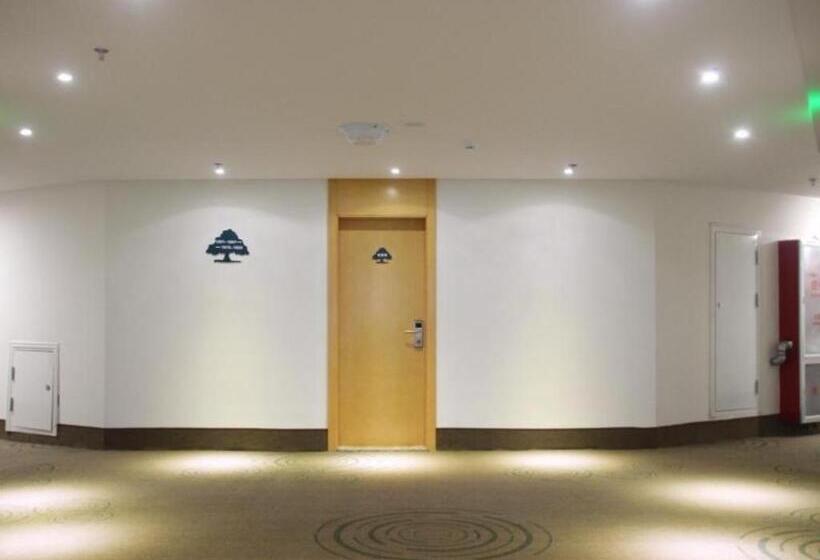 Отель Greentree Inn Pingdingshan Wanda Plaza Branch