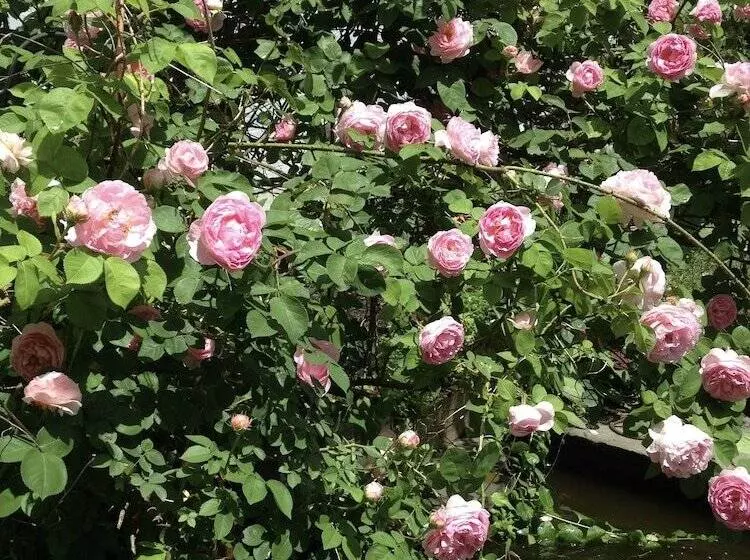 Hotelli Church Des Artistes Guest House