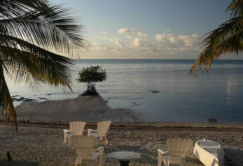 酒店 Deer Run On The Atlantic