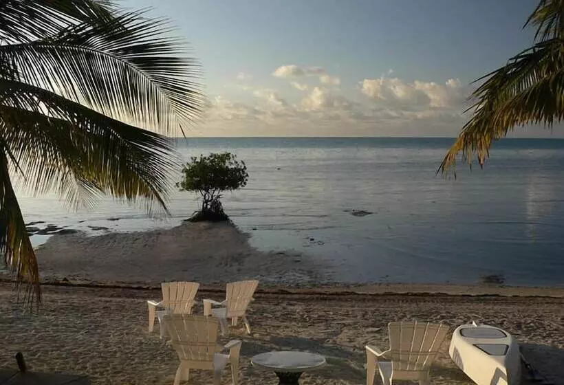 Hotelli Deer Run On The Atlantic