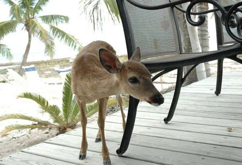 酒店 Deer Run On The Atlantic