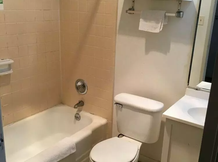 University Lodge Motel