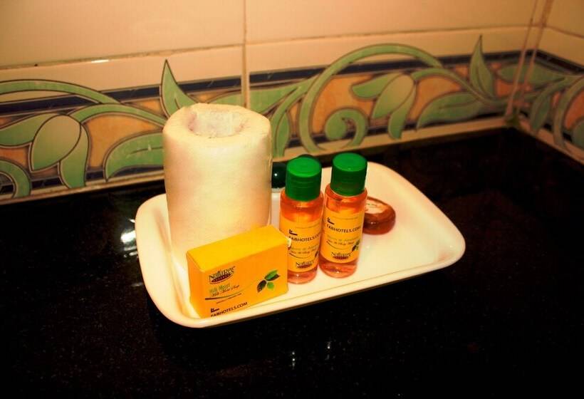 هتل Fabexpress Superior Nesh Inn