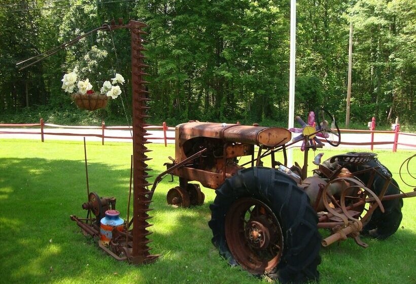 Отель Paradise Resort And Cabins