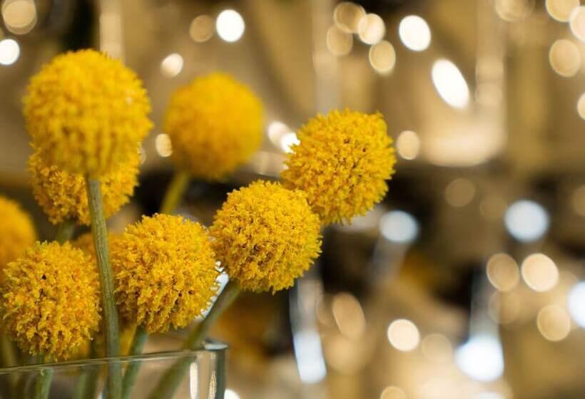 Malana Hotels & Suites