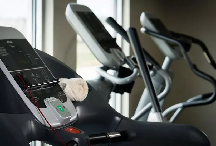 Malana Hotels & Suites