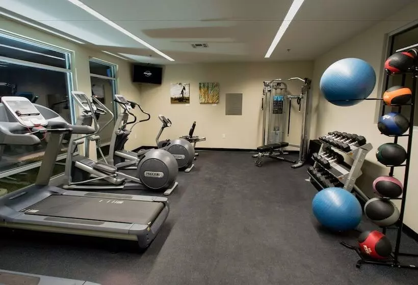 Malana Hotels & Suites