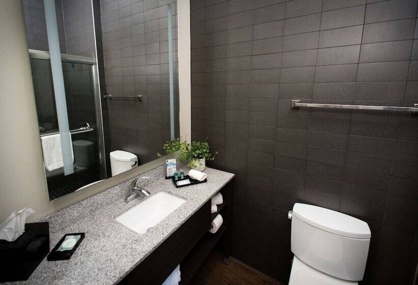 Malana Hotels & Suites