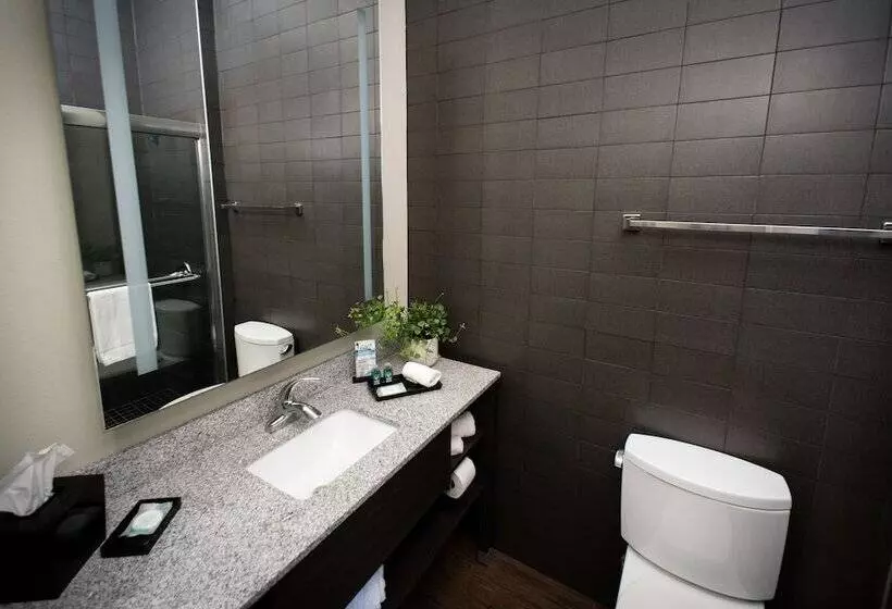 Malana Hotels & Suites