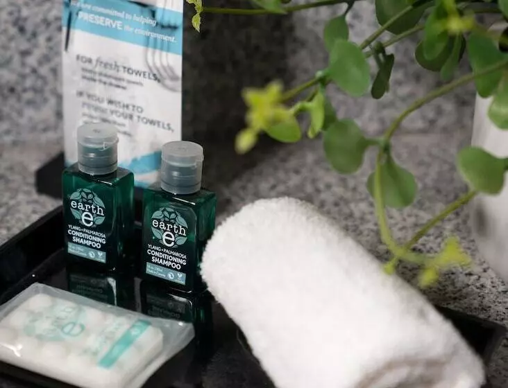 Malana Hotels & Suites