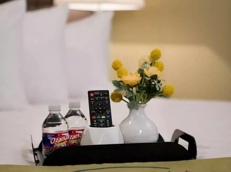 Malana Hotels & Suites