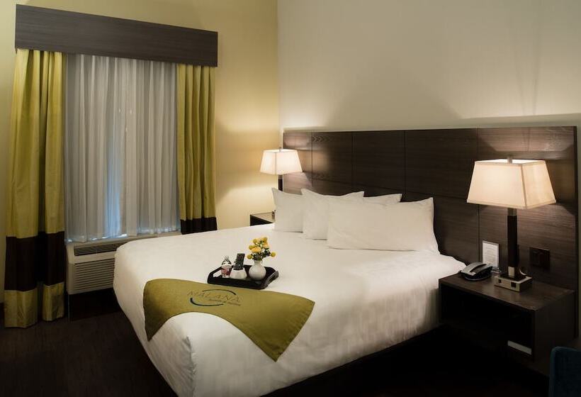 Malana Hotels & Suites