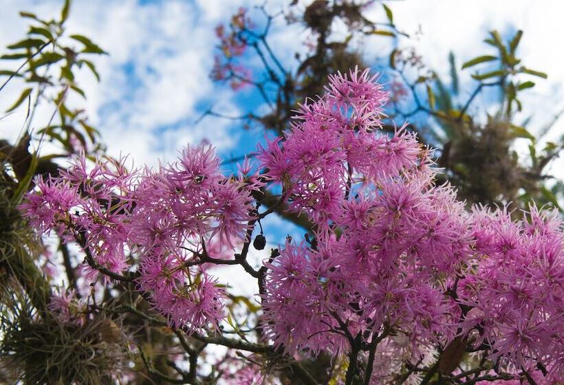 Hotel Casa De Hacienda Su Merced