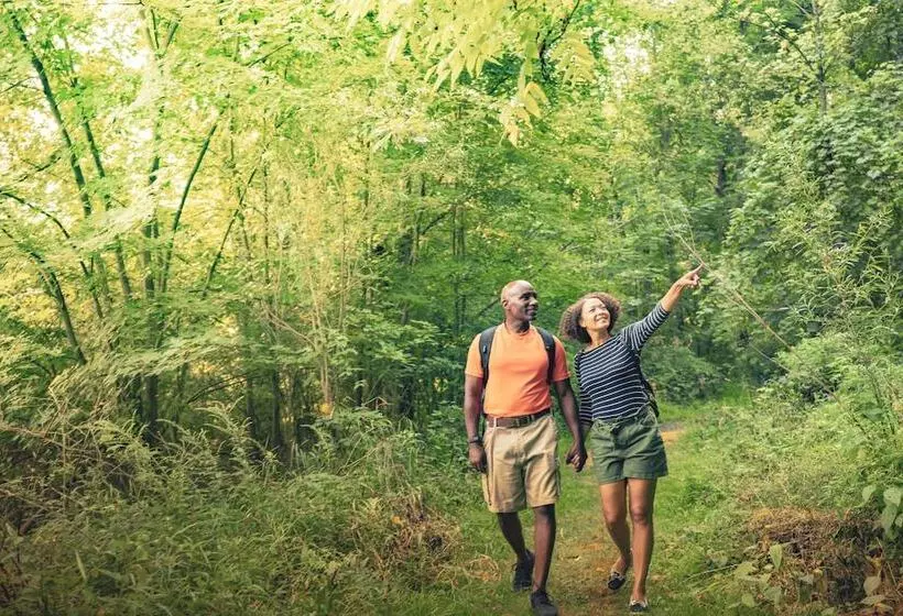 Hotelli Sun Retreats Gun Lake