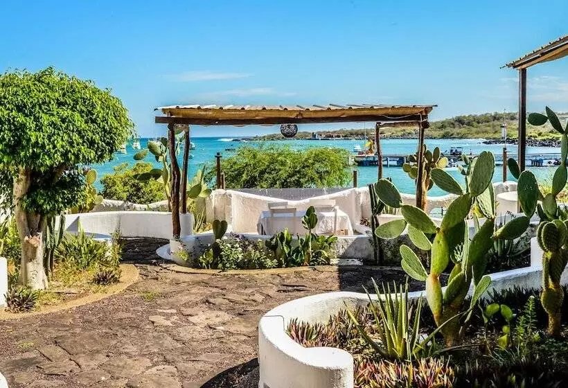 ホテル Casa Opuntia Galapagos