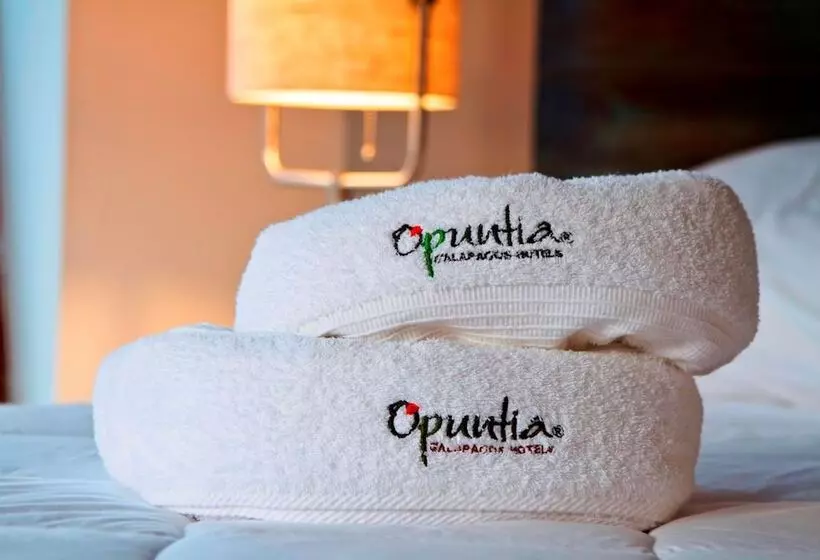 ホテル Casa Opuntia Galapagos