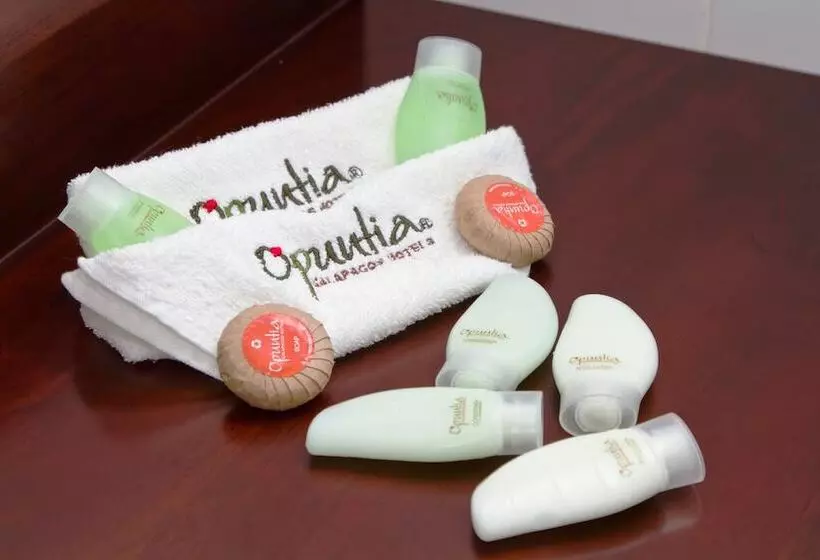 ホテル Casa Opuntia Galapagos