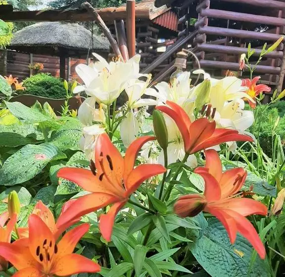 ホテル Pensjonat Melaxa