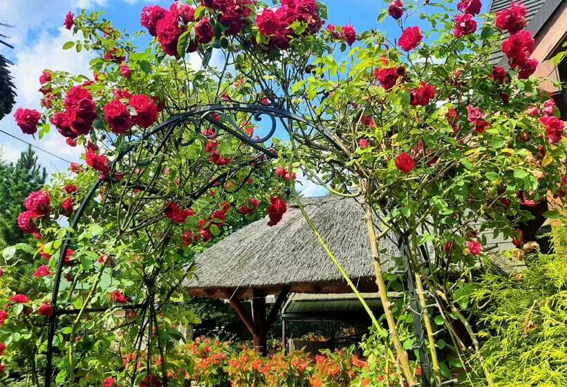 Отель Pensjonat Melaxa