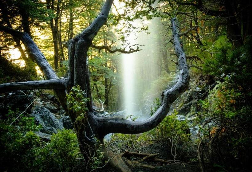 هتل Termas Chillán