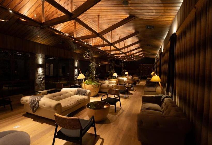 هتل Termas Chillán