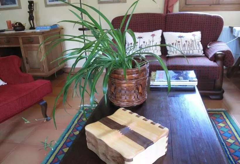 Отель Casa Anita