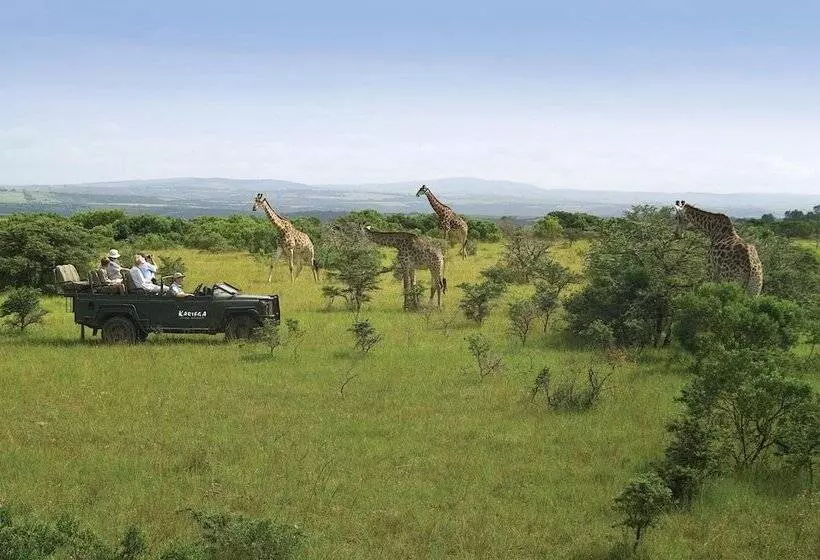 酒店 Kariega Game Reserve River Lodge