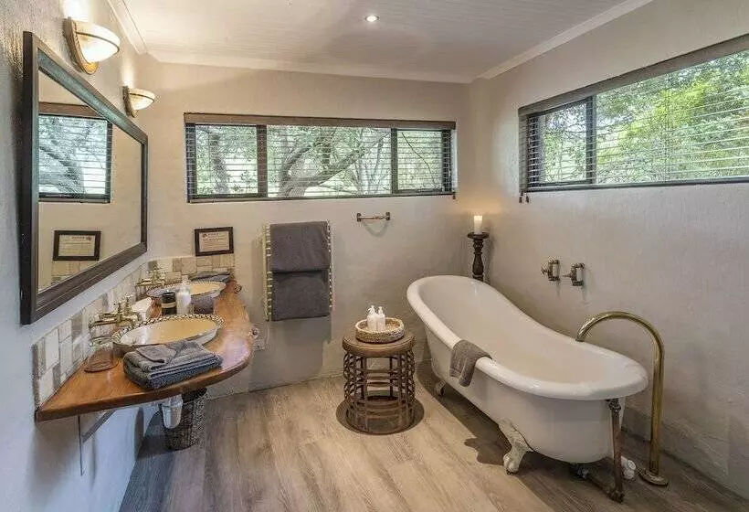 酒店 Kariega Game Reserve River Lodge