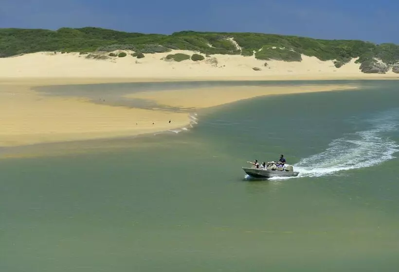 酒店 Kariega Game Reserve River Lodge