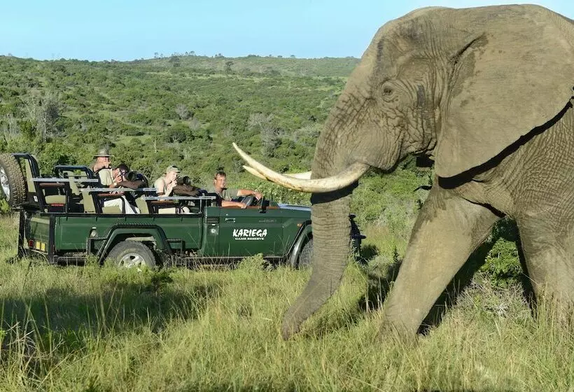 酒店 Kariega Game Reserve River Lodge