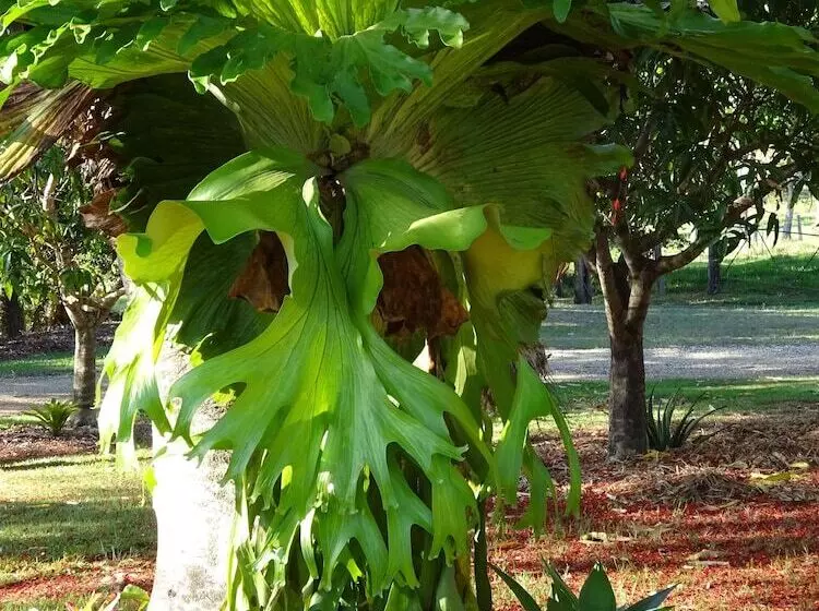 호텔 Lagoon Pocket B&b